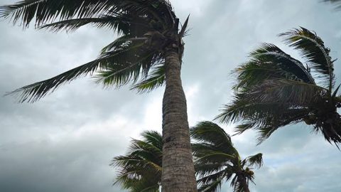 Strong Winds Batter Parts of South Africa as Severe Weather Sweeps Across Multiple Provinces