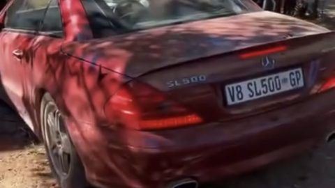 SANParks Investigates Viral Reckless Driving Incident in Kruger National Park