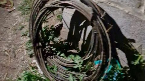 Community Members Apprehend Suspected Municipal Cable Thieves in Inanda