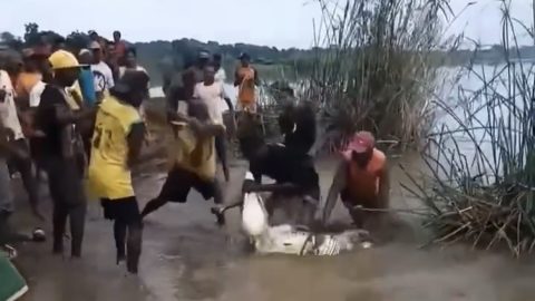 Alleged Crocodile Attack During Village Hunt in Southern Africa