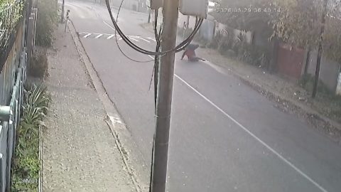 Robbery on Short Street in Albertville Highlights Ongoing Street Crime Concerns in Johannesburg Suburb