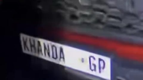 WATCH – Man Faces Multiple Charges After Allegedly Shooting Injured Dog Following Vehicle Collision in South Africa
