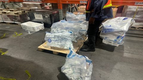 Cocaine Theft Scandal: Hawks Official Testimony Raises