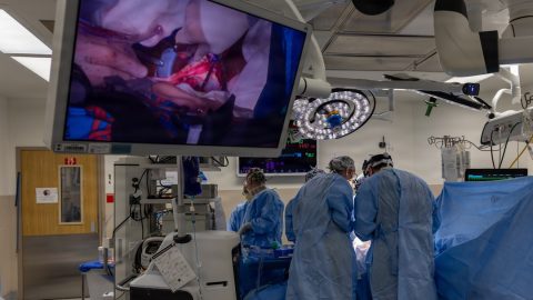 Crown Princess Lung Transplant: Surgery Successful Recovery