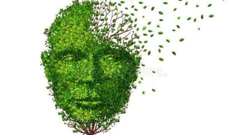 Dementia Claims Cause Property Sale Cancellation