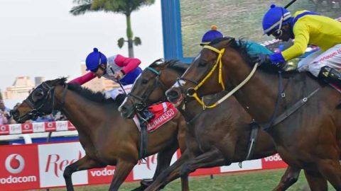 July Handicap Favourites Emerge With New Look Contenders