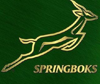 Future Springboks shine as SA A backline dazzles Zimbabwe