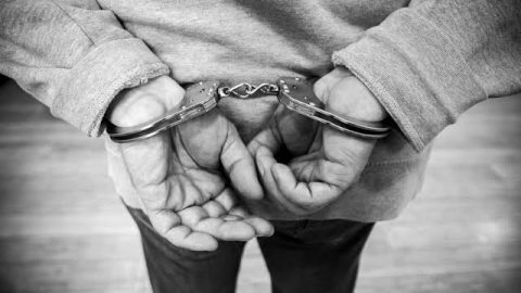 Heidedal anti-gang raid: Four arrested, dogs, stones, meth
