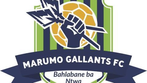 Mohafe new coach sparks hope for Gallants ahead of season
