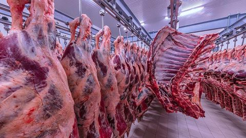 South Africa Meat Exports Face Billions in Losses as Delays Continue
