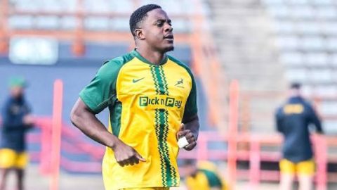 Springboks youngsters shine in double header, six stars
