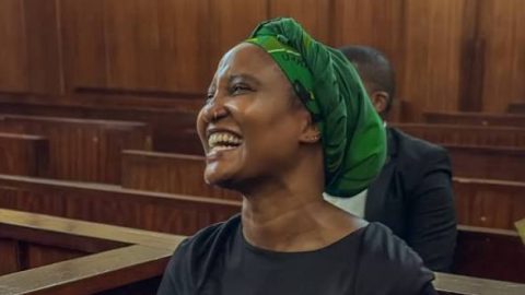 Steehuisen removal controversy: DA upset over murders