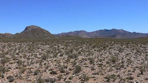 Succulent Karoo stewardship: protecting South Africa’s earth