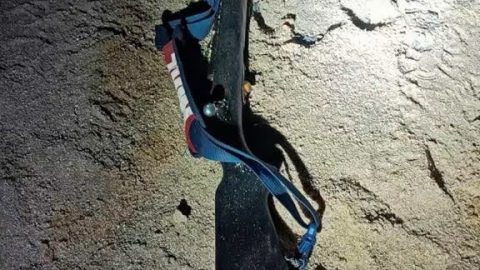 32-Year-Old Suspect Arrested After Shootout in Rhino Poaching Incident at Kruger National Park’s Pretoriuskop Section