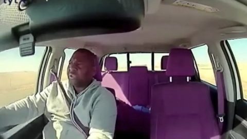Distracted Driver Collides with Wildebeests in South African Road Incident Captured on Dashcam
