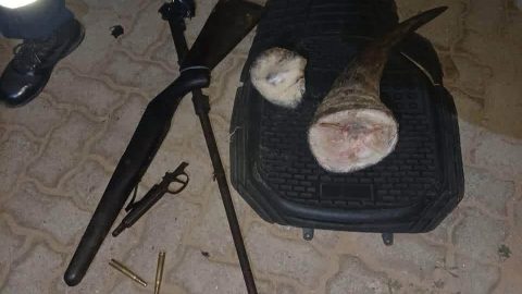 Two men arrested after police recover rhino horns, hunting rifles and ammunition on N12 in Mpumalanga