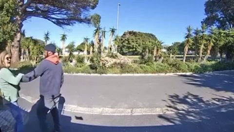 Petty Violent Street Robberies in South Africa: Prevalence, Characteristics and Effects on Citizens