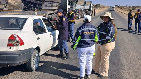 Female-led SAPS operations in Northern Cape yield 217 arrests under Operation Basadi