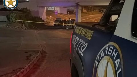 Murder investigation opened after fatal single-vehicle crash in Greenwood Park, Durban