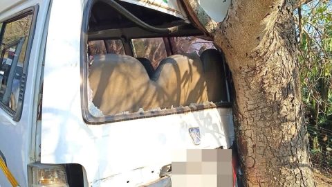 Seven learners injured after minibus taxi collides with tree in Buffelsdraai, KwaZulu-Natal