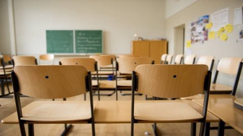 Brebner Primary School SGB Dissolution Calls by Parents