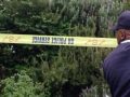 Ekurhuleni Dawn Park Murder: Ninth Woman Discovered