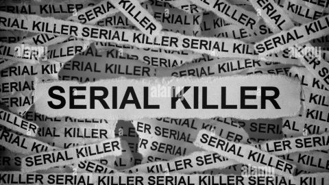 SAPS forms specialised task team and warns women after four bodies found in Kempton Park area over two months