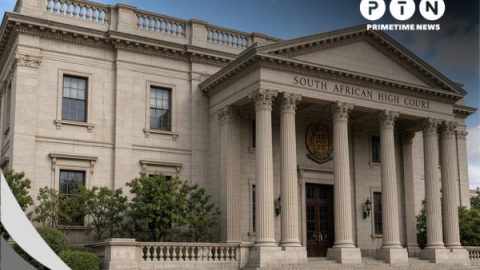 Malema Granted Leave to Appeal Conviction in Firearm Case