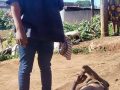 Suspected Electrocution Leaves 33-Year-Old Man Injured in Ebhayi, Flamingo Heights