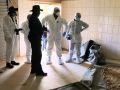 Four Arrested After Suspected Mandrax Laboratory Uncovered Near Hartbeespoort