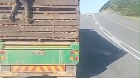WATCH: Suspected Cargo Thief Left Hanging Upside Down After Botched Escape From Moving Truck on R72