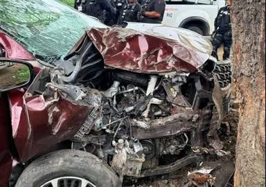 Five Children and Two Adults Injured After Suzuki Ertiga Crashes Into Tree in Phoenix